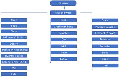 Influence of traditional processing and genotypes on the antioxidant and antihyperglycaemic activities of yellow-fleshed cassava